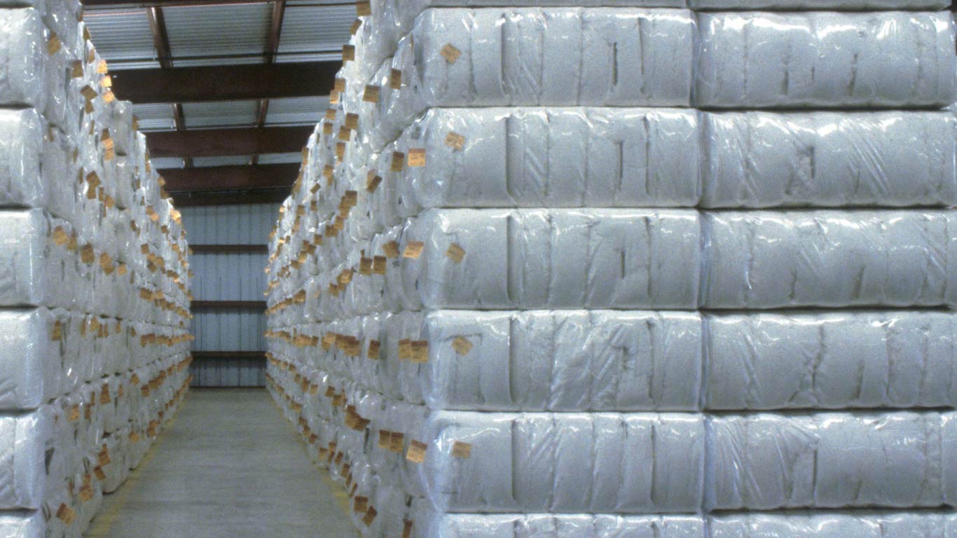 Cotton Bales Procurement By CCI Reaches To 32.81 Lakh In 2023-24