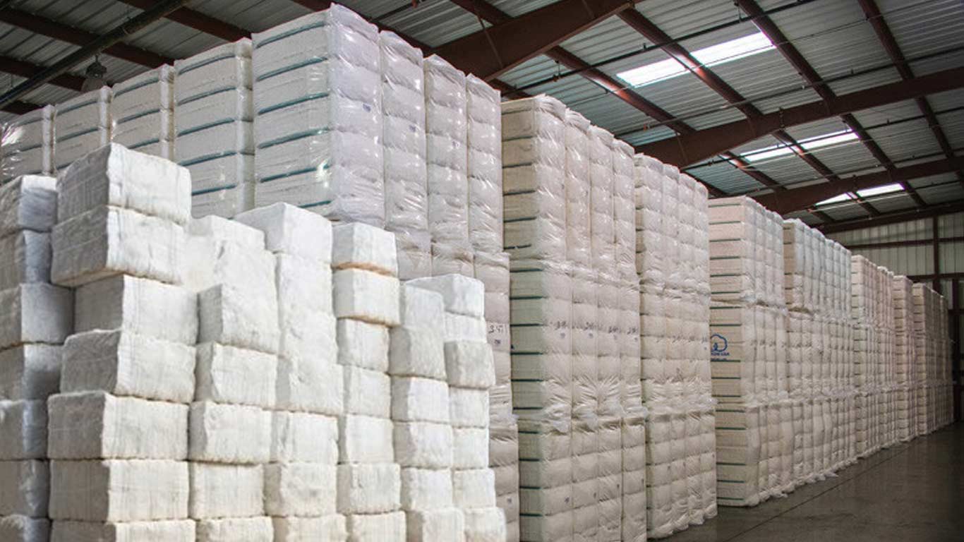 India Needs Strong Farm-to-Factory Strategy to Boost Cotton Exports: CITI Report