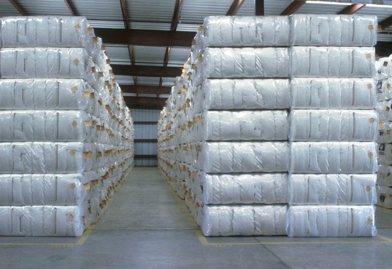CAI Projects Cotton Estimate For FY23 At 318.90 Lakh Bales