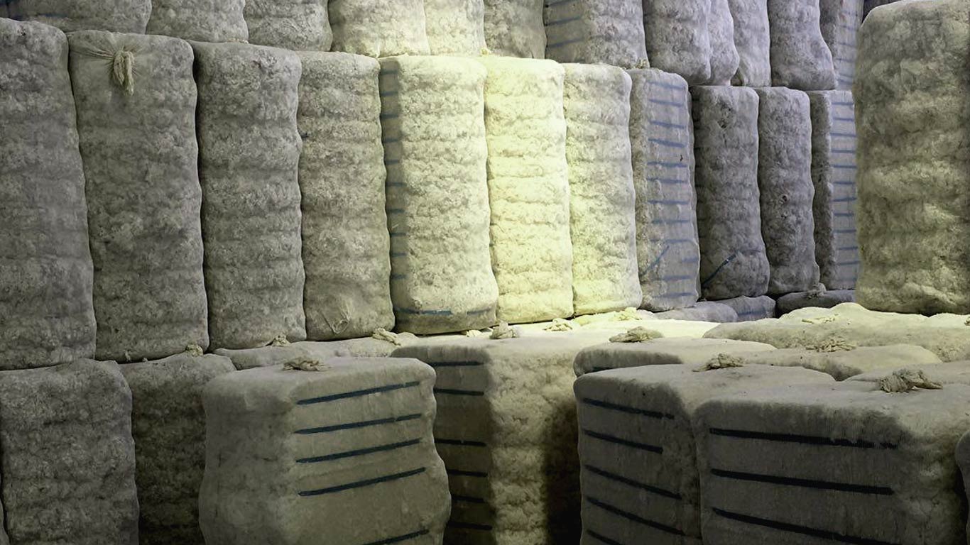 Brazil Seeks Tariff-Free Quota On Cotton Export To India