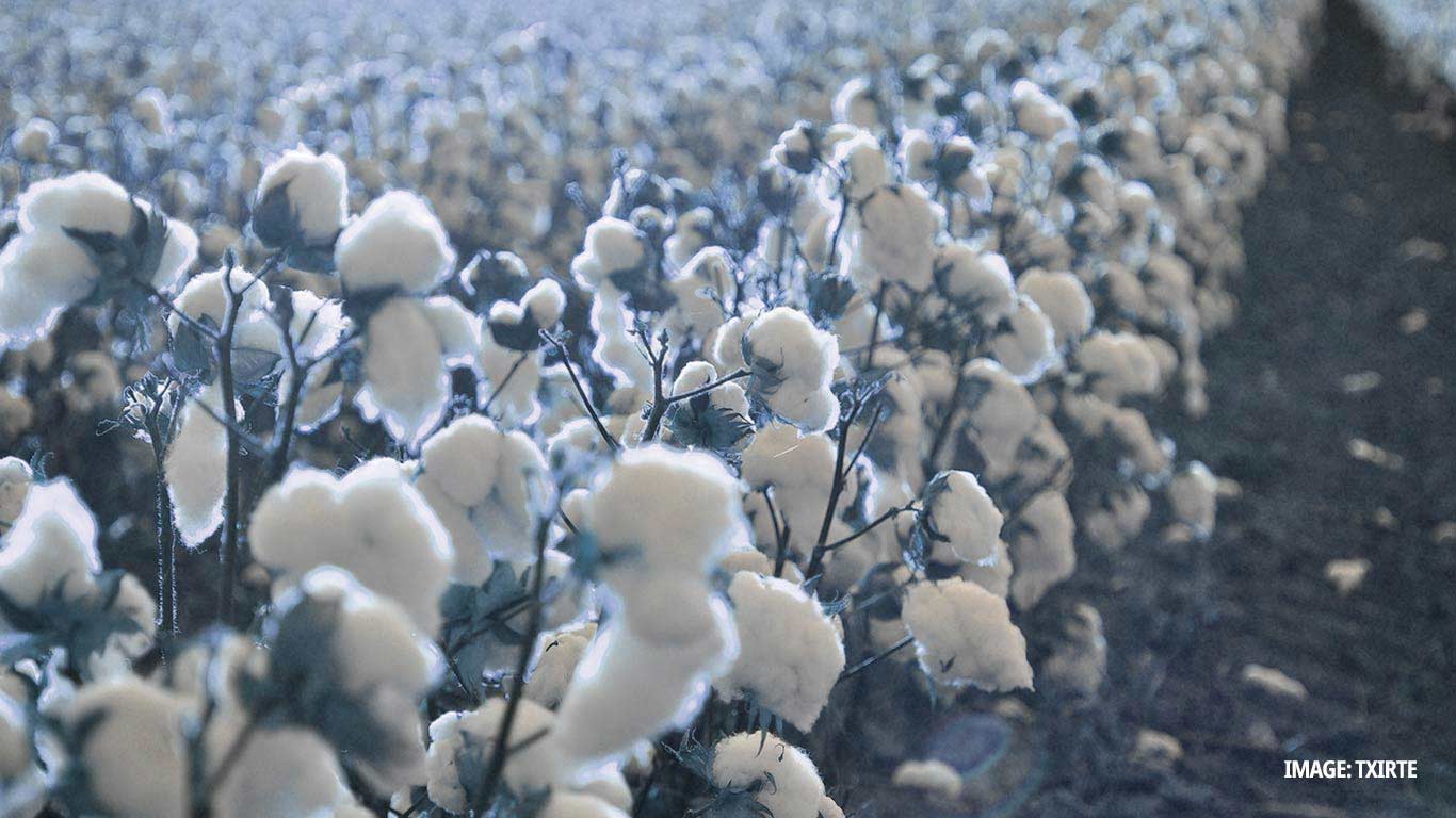 SIMA Welcomes Extension of Cotton Duty Exemption