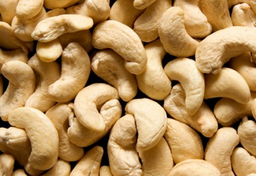 Govt working on scrapping import duty on cashew kernel: Prabhu