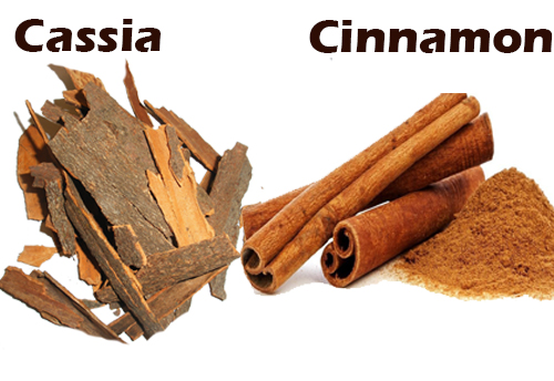 Indian Consumers will now have the flavour of ‘true Cinnamon’ and not ‘fake Cassia’