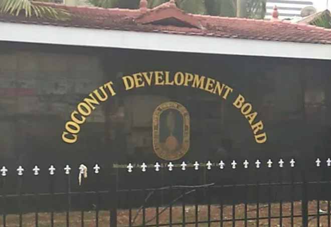 Coconut Development Board sets up Gujarat centre in Junagarh