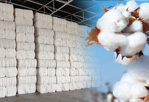 Tiruppur Exporters’ Association demand govt to stop export of cotton to stabilise rise in prices