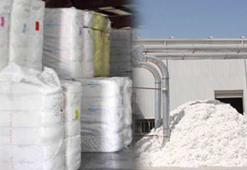With bumper crop cotton prices may weaken