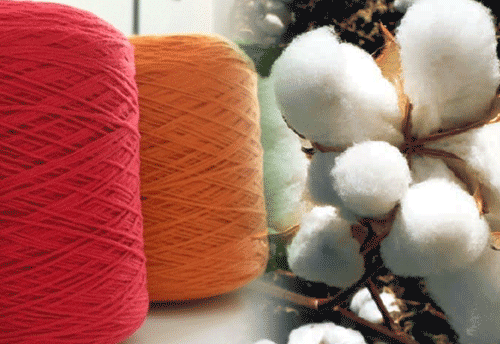 Garment Traders say fall in cotton trade between India & Pakistan will be good for Indian MSMEs