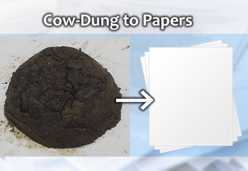 Jaipur finds green alternative for producing paper; makes paper utilizing cow dung