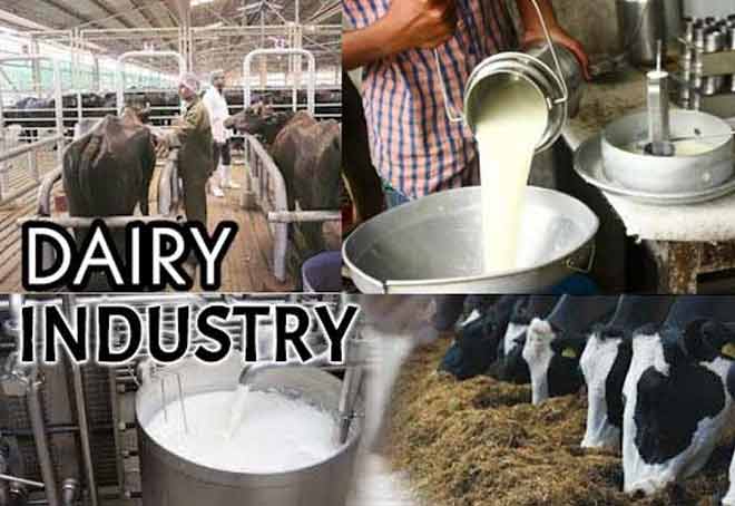 Organised Dairy Industry’s Revenue To Grow 14-16% This Fiscal: CRISIL