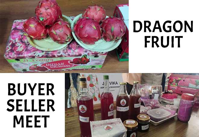 APEDA calls for standardization of fruit parameters & value added products