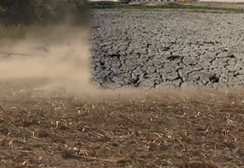 Assocham seeks govt taking bank loan repayments of rural borrowers in drought hit areas