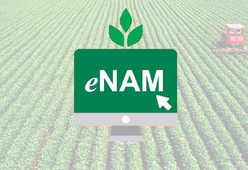 22,000 rural agricultural markets to be linked with e-NAM portal by 2020: Agri Minister