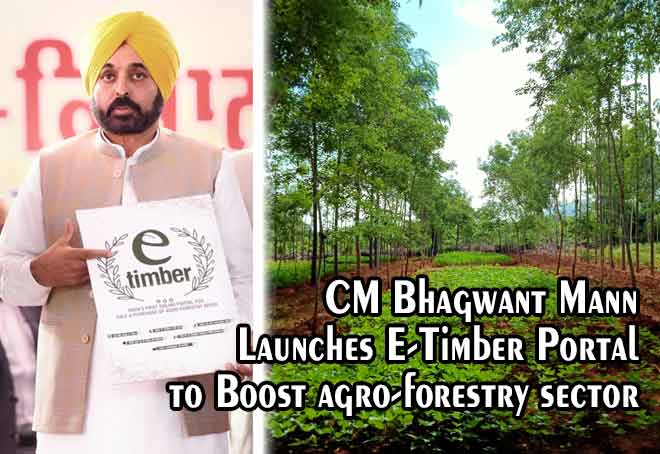 CM Bhagwant Mann launches e-timber portal to boost agro-forestry sector