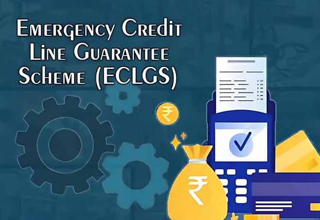 ECLGS Loans of Rs 3.5 Lakh Cr Shielded MSMEs from Bankruptcies: PM