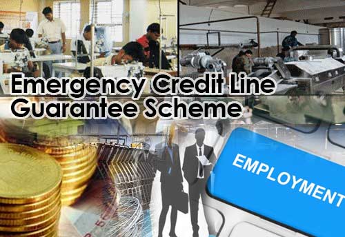 Boost given to MSME credit guarantee scheme in budget will generate employment: FDR