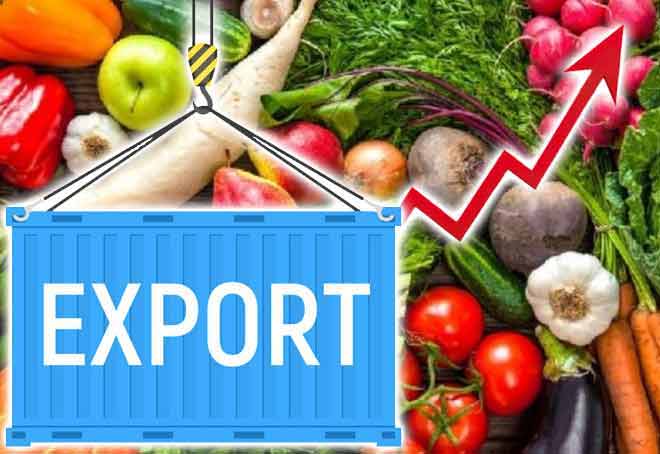 Varanasi emerges as East UP’s agri export hub with 420% growth