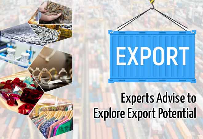 Experts advise to explore export potential of garments, jewellery and pharma
