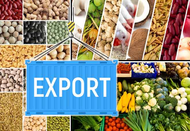 Agri & allied commodities export up by 20% to $ 50 bn in FY22
