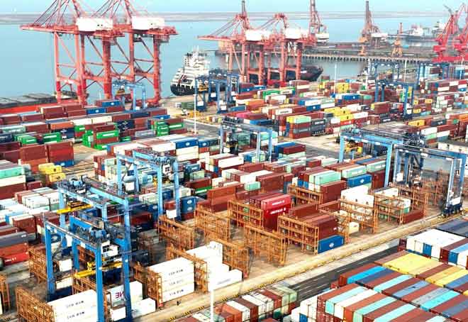 Govt to form cooperative export society as exports shrink