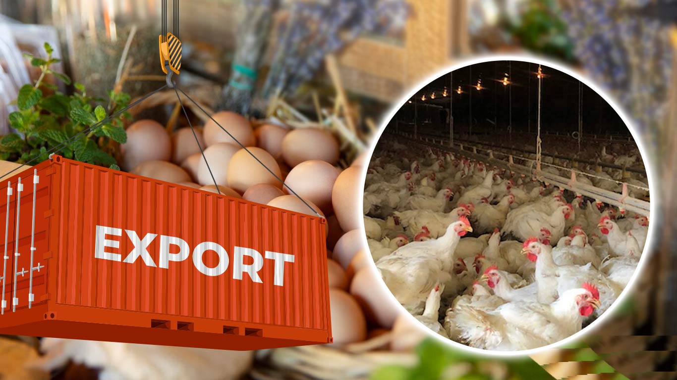 India's Poultry Exports Soar to $184 Million in FY24