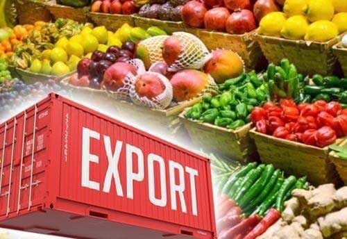 India replaces Brazil as top food exporter to Arab countries