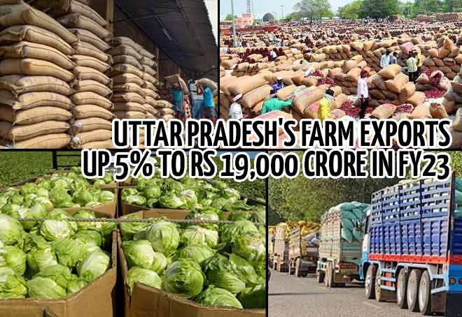 Uttar Pradesh's farm exports up 5% to Rs 19,000 crore in FY23