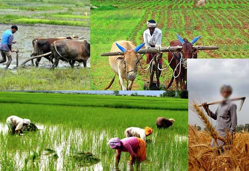 AI-driven Personalized Insurance and Advisory Services to Farmers