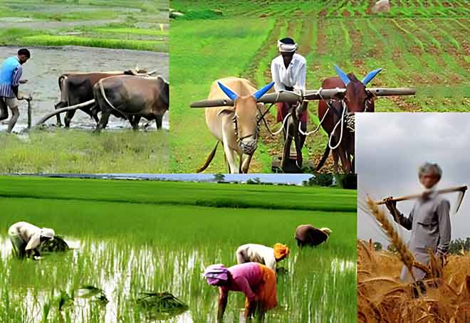 Tamil Nadu govt launches Farm to Home scheme in Tiruchi to boost income of farmers