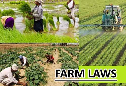 Traders demand representation in proposed joint committee over farm laws