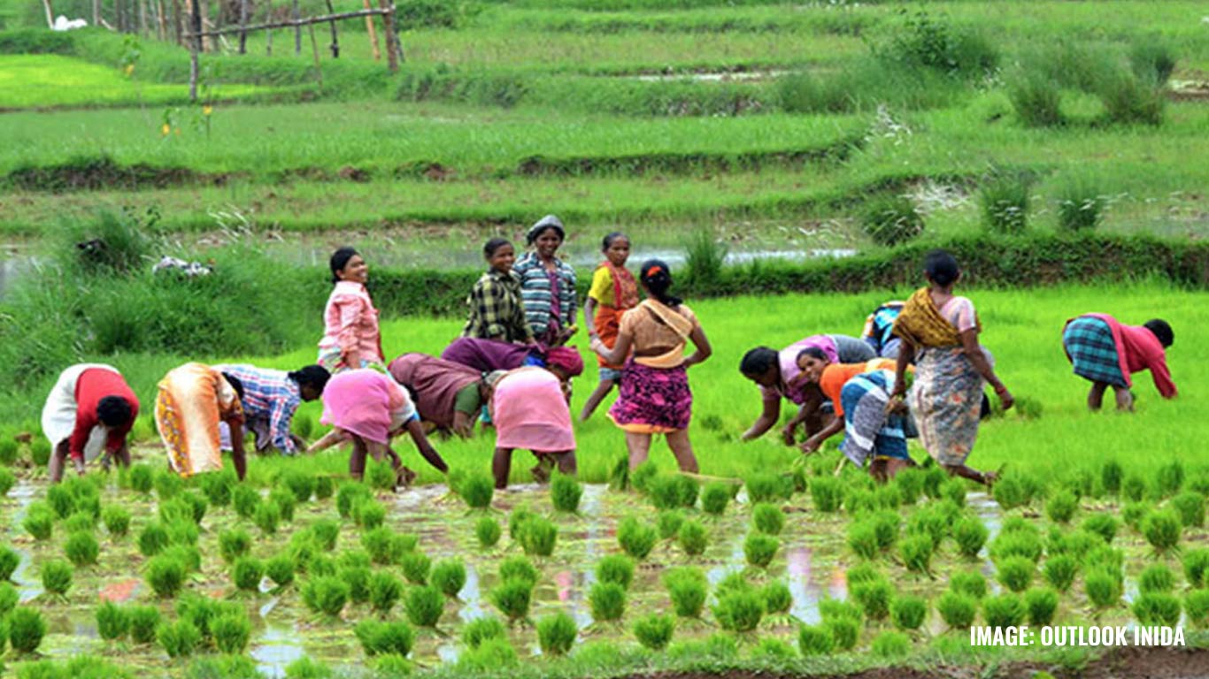 E-Shram Sees Record Female Registrations, Agriculture Sector Takes the Lead