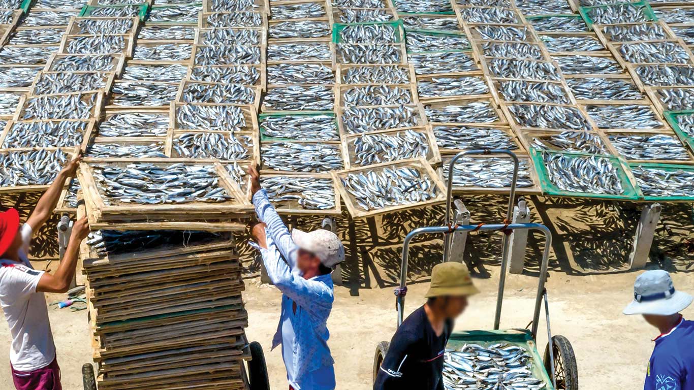 EU Approves 102 Indian Fisheries Establishments For Exports, Expanding Market Access