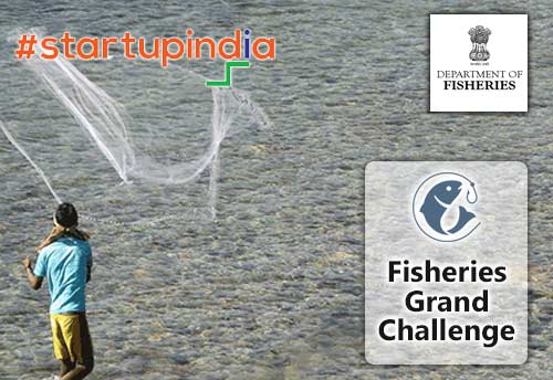 Startup India invites applications for fisheries grand challenge; to offer seed grant of Rs 2.5 cr