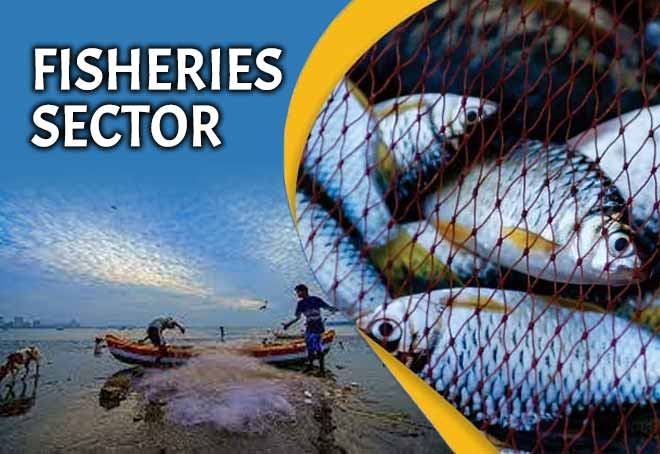 NFDB conducts workshop to promote fisheries sector in NE states