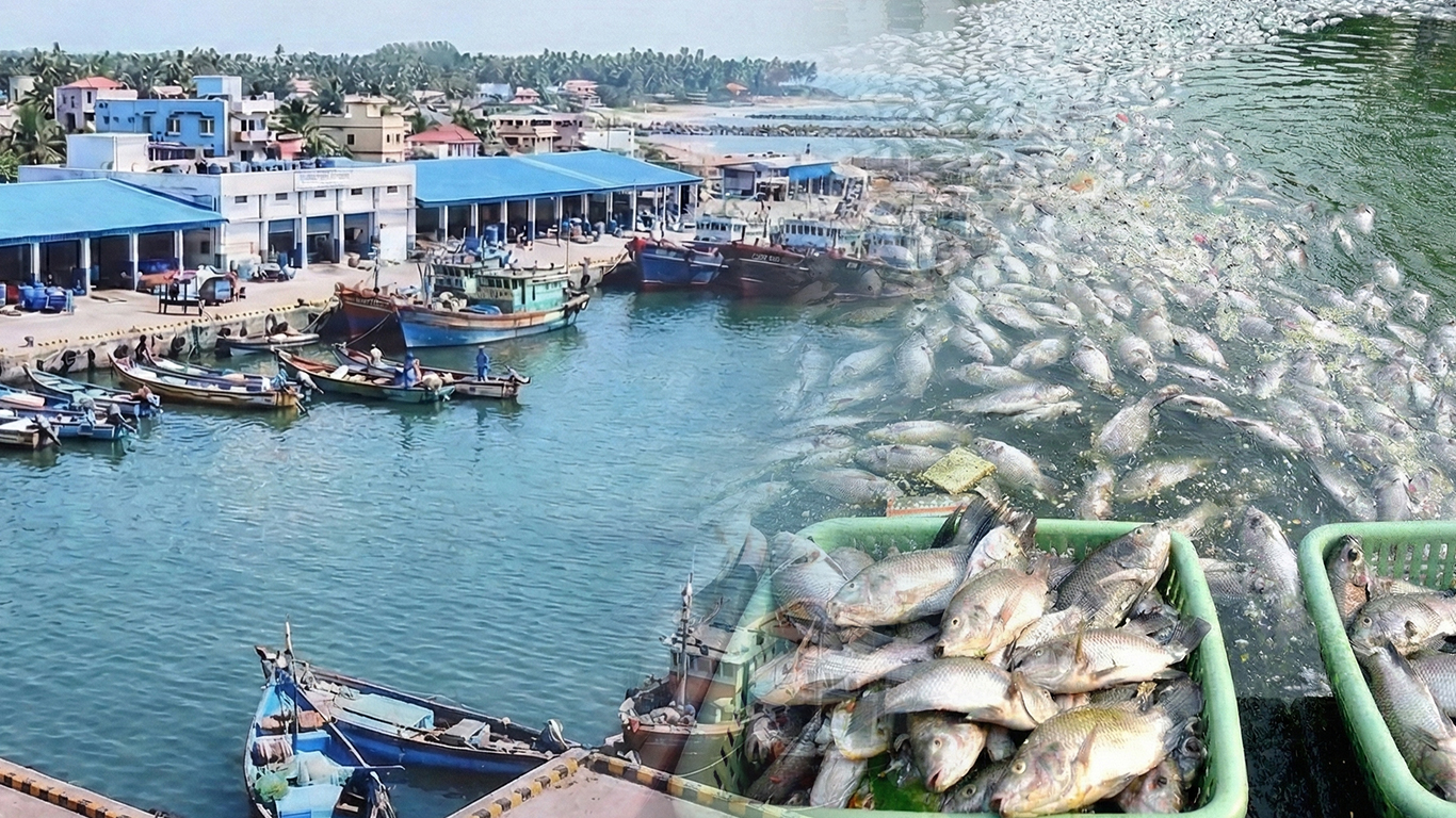 PM Matsya Sampada Yojana Driving Fisheries Growth, Fisher Welfare: Govt