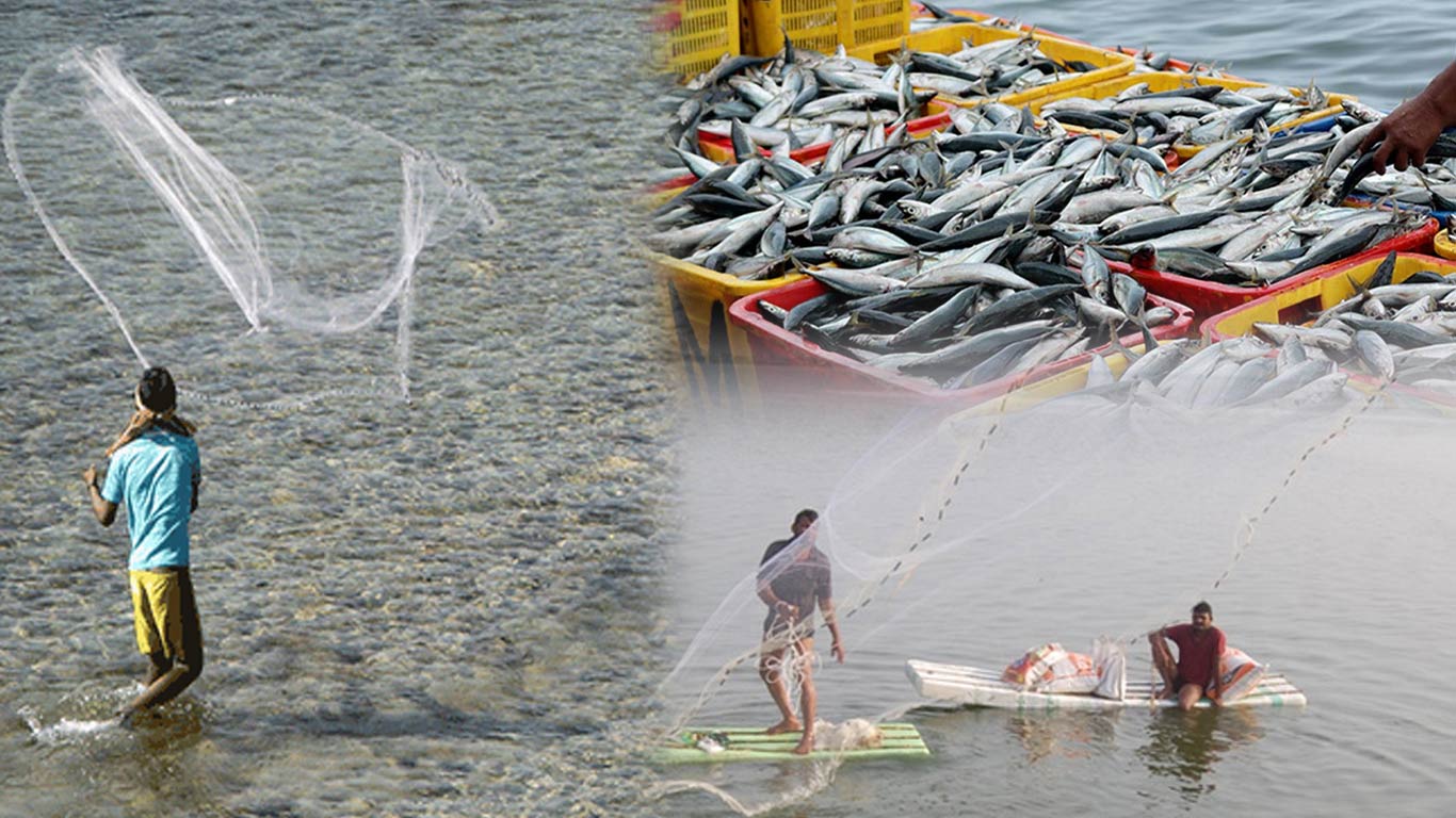 India Stresses Welfare Of Fishing Communities In WTO Subsidies Negotiations