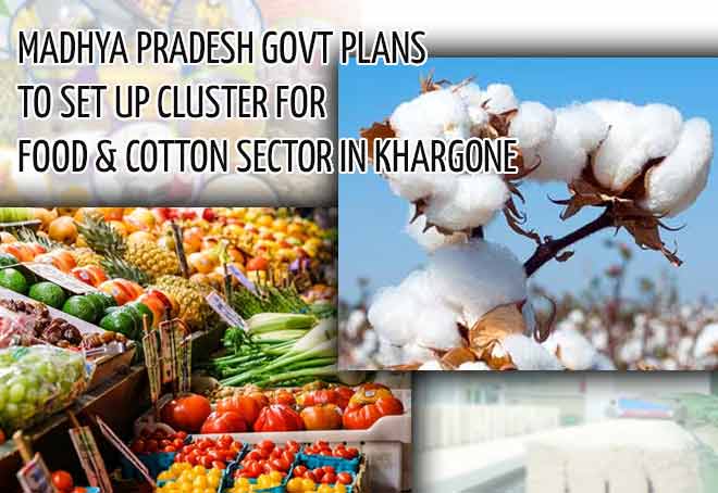Madhya Pradesh govt plans to set up cluster for food & cotton sector in Khargone