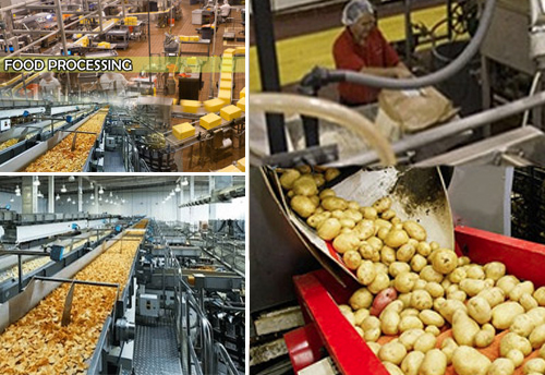 15 Food Processing units are operational in Assam: Rameswar Teli