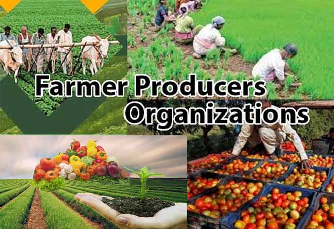 Tamil Nadu FPOs get training in e-commerce