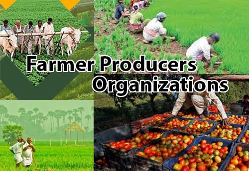 Similar incentives should be extended to other cooperatives in sectors including MSMEs like NABARD gives its FPOs