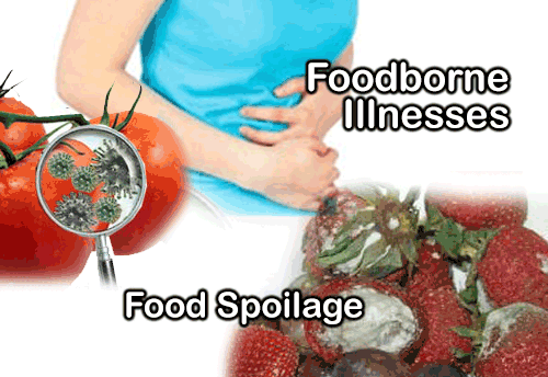 FSSAI-Industry initiative to address food borne illnesses and spoilage by micro–organisms