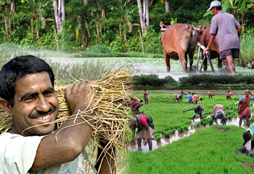 KASSIA to organise ‘Agro-Tech Expo 2016’ in Mysore