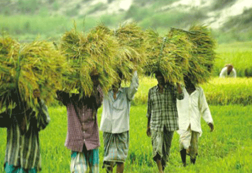 Even one month after demonetization, no ‘Achhe Din’ for farmers: BKU