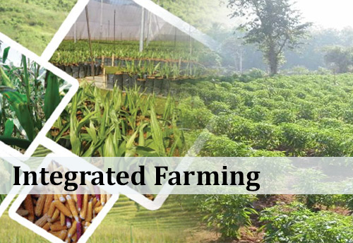 Min of MSME organizing Udyam Samagam on agriculture enterprise development in Ghaziabad
