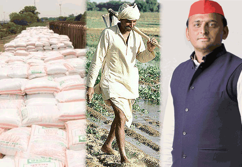 UP Agri Dept happy with DBT of fertilizer subsidy; says it has done away with touts