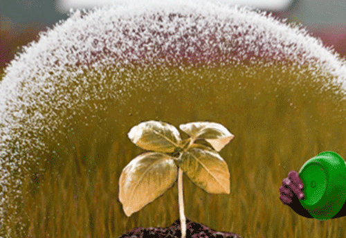 Govt extends Nutrient Based Subsidy Policy to coastal shipping of fertilizers