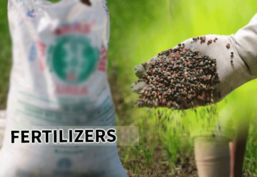 DGFT revises export policy of fertilizers with certain conditions