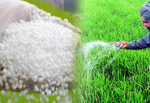 Fertilizer industry may see some good news in 2019’s budget: Epic Research