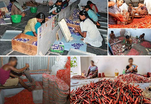 We cannot give money or jobs or support people who will lose their jobs if we shut down firecrackers manufacturing units: SC