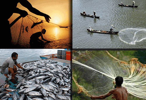 CCEA approves Rs 7,522 fund for creating infra facilities in fisheries and aqua-culture sector