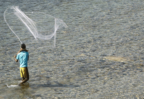 West Bengal Govt to develop Moyna as state’s largest fisheries hub